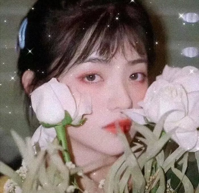 春归无觅处